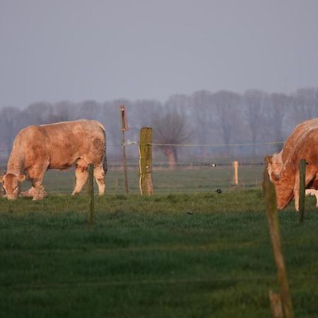 B&B Bij Bronckhorst Steenderen Kültér fotó