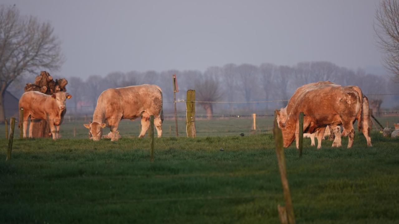 B&B Bij Bronckhorst Steenderen Kültér fotó